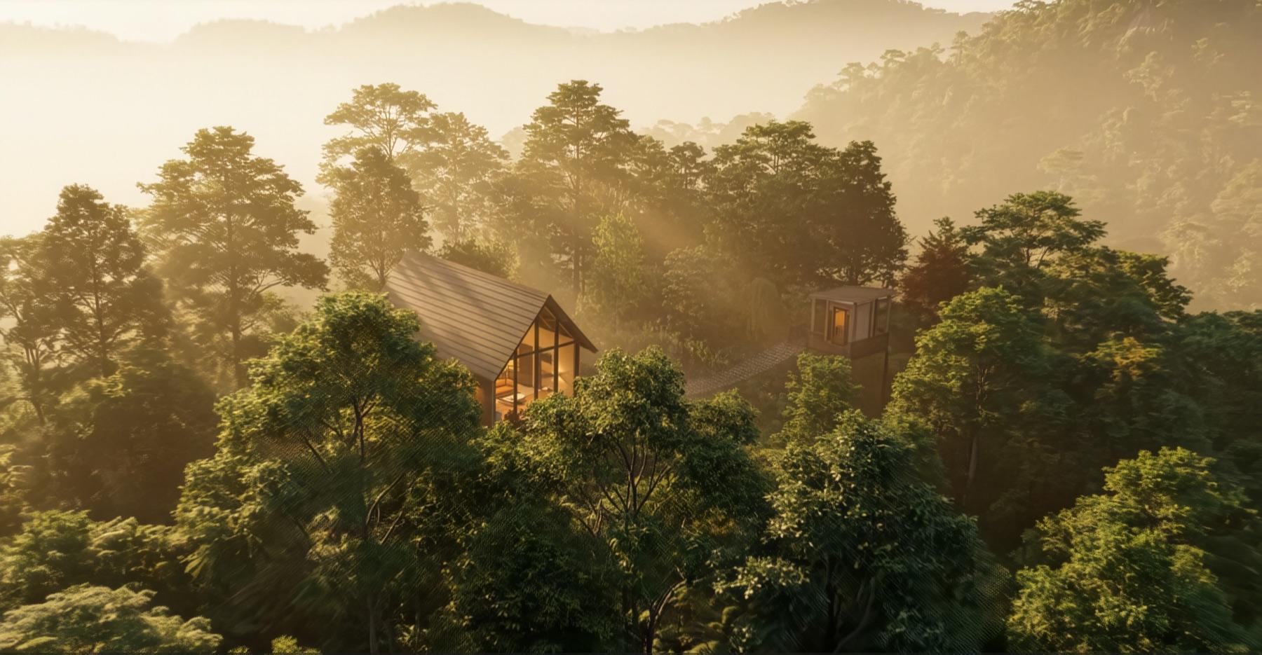 Canopy treehouse glowing among misty forest treetops at golden hour